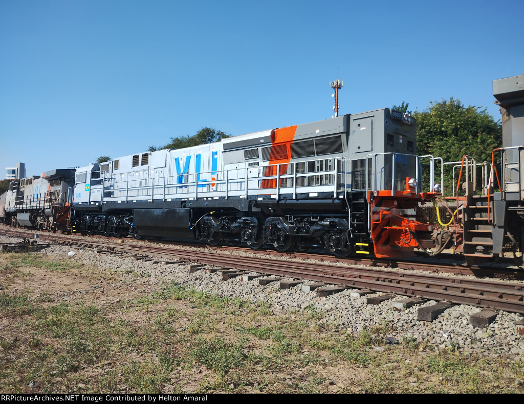 VLI 8803